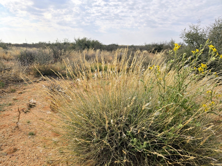 Commercial Property for Sale in Kenhardt Northern Cape